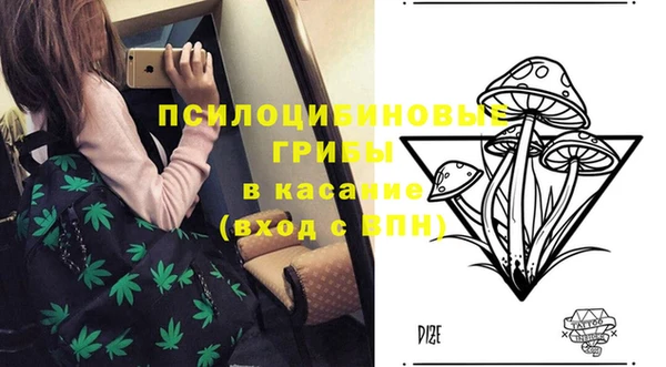 MESCALINE Ельня