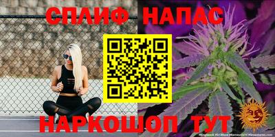 мет Ливны