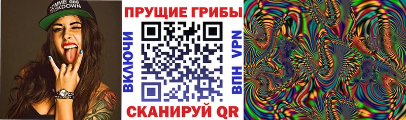 как найти наркотики  маркетплейс какой сайт  Галлюциногенные грибы GOLDEN TEACHER  Зеленокумск 