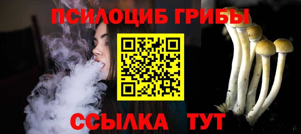 Галлюциногенные грибы Psilocybe  Вход с VPN  Псилоцибиновые грибы Magic Shrooms  Зеленокумск 